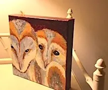 Owls on a Frame