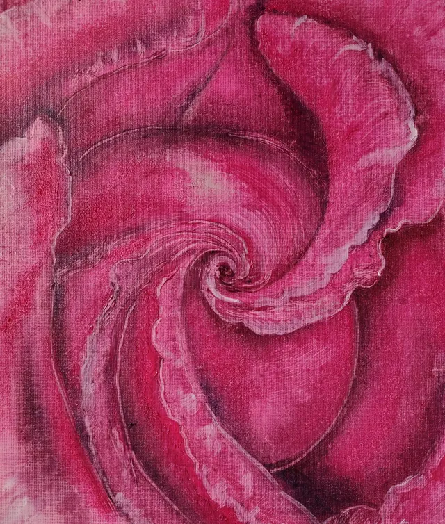 Red rose close up