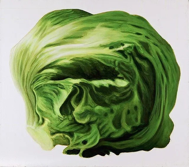 Head of lettuce / Kop sla