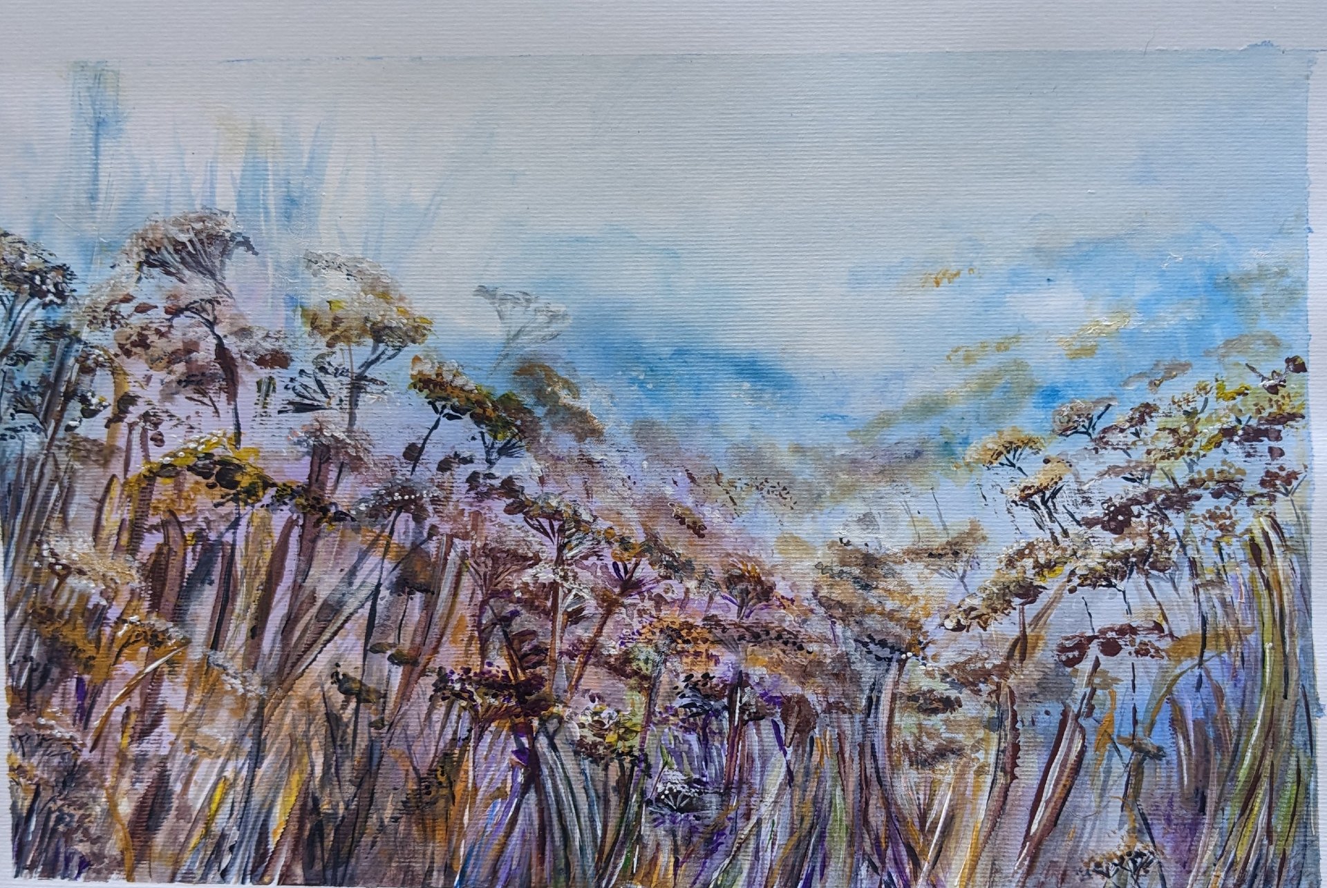 Autumn meadow