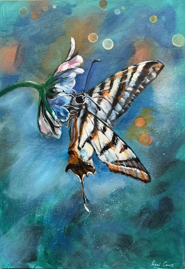 Butterfly Beauty