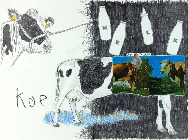 Koe I Cow