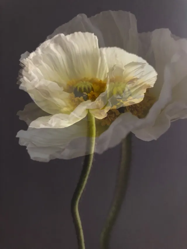 flora