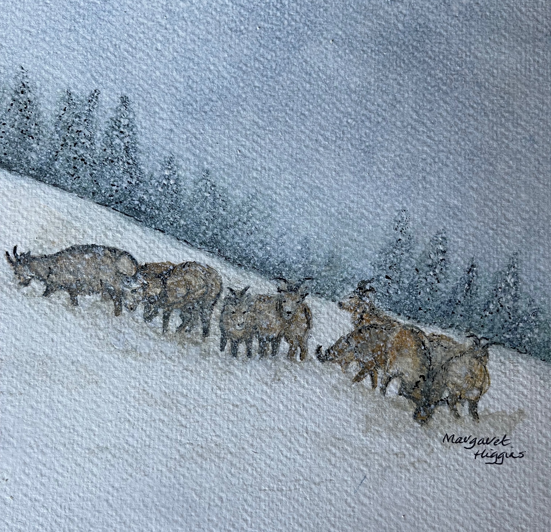 Goats snow scene