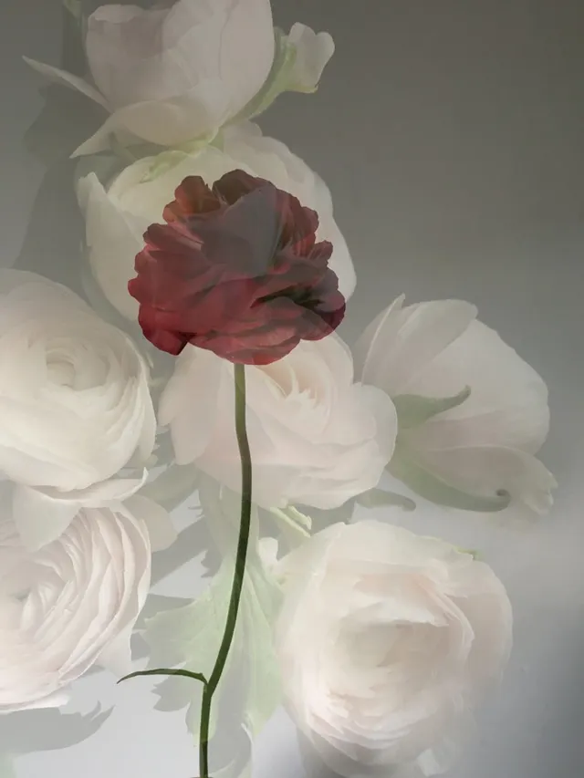 flora