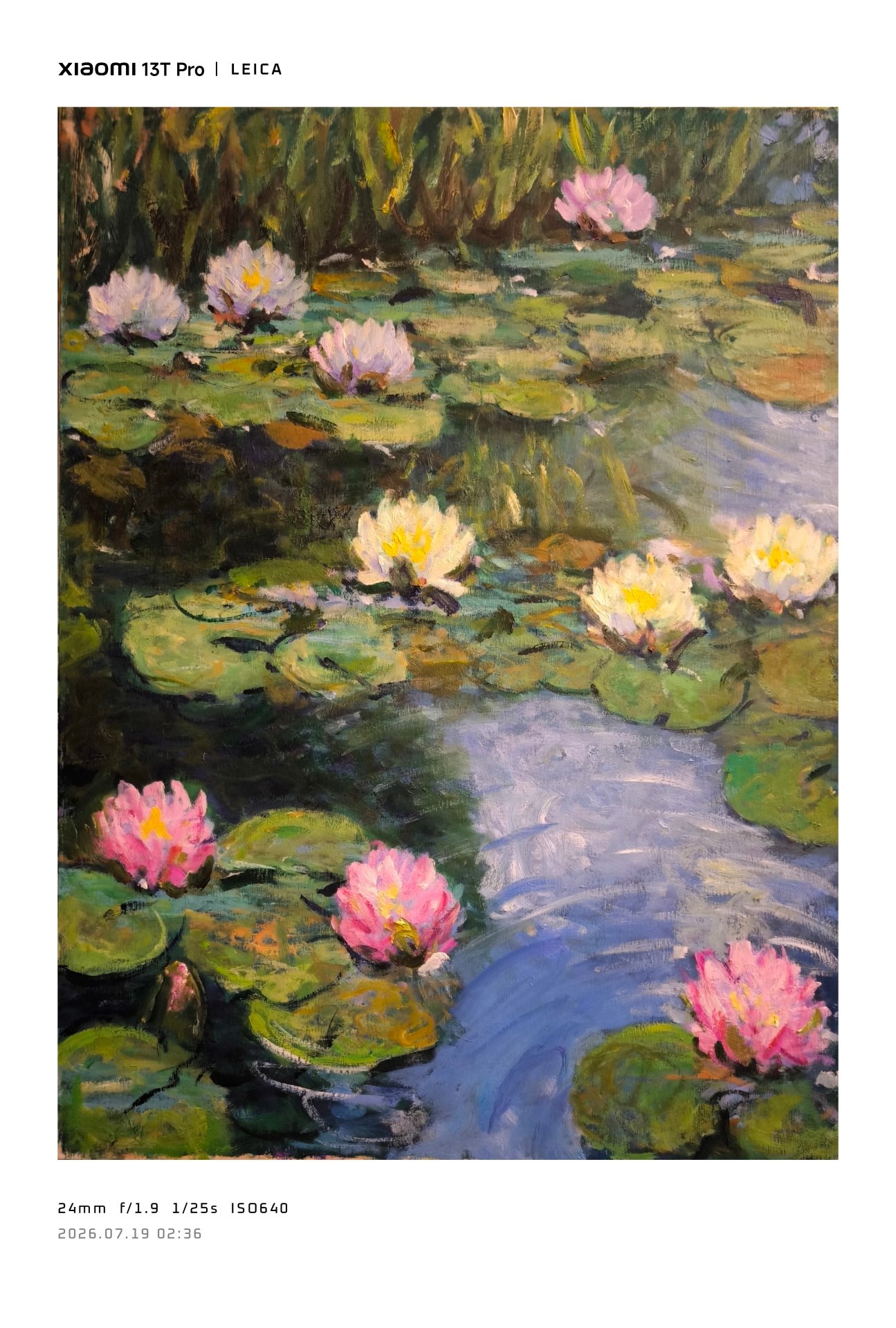 Lilies