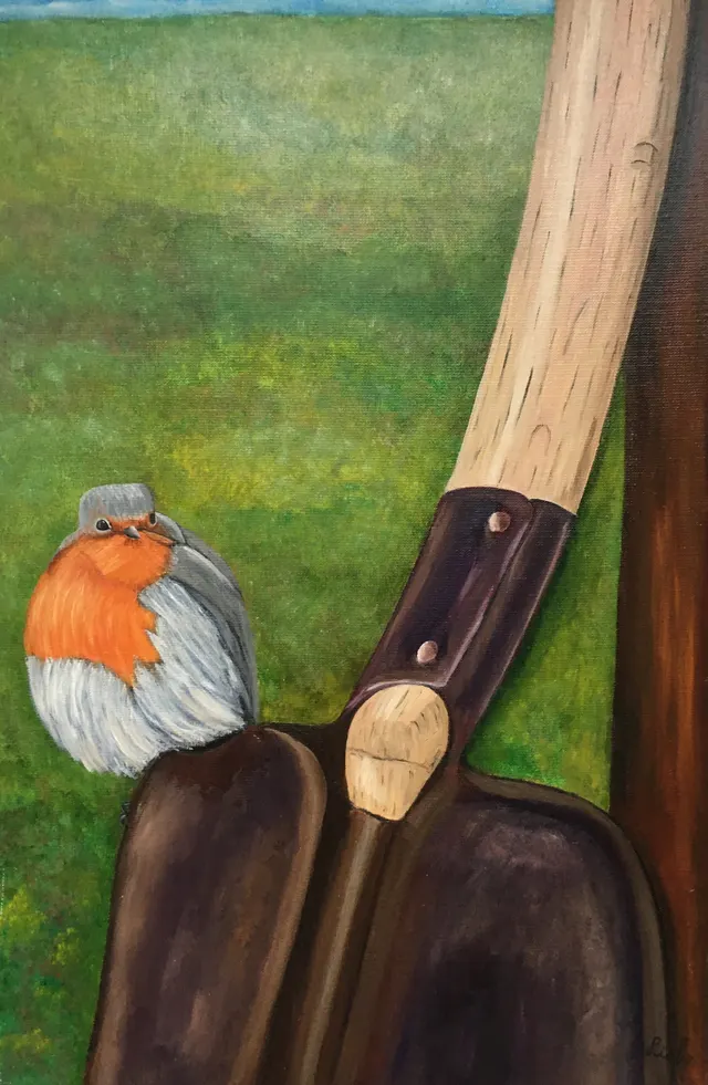 Roodborst