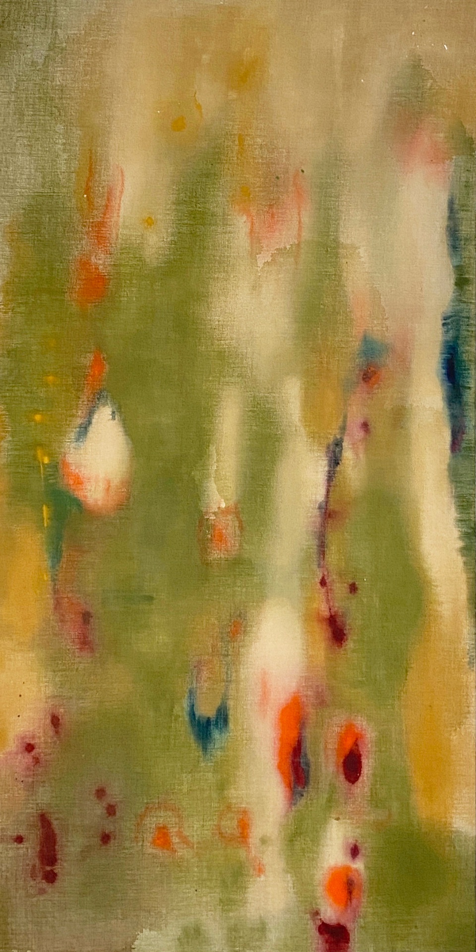 A FOREST