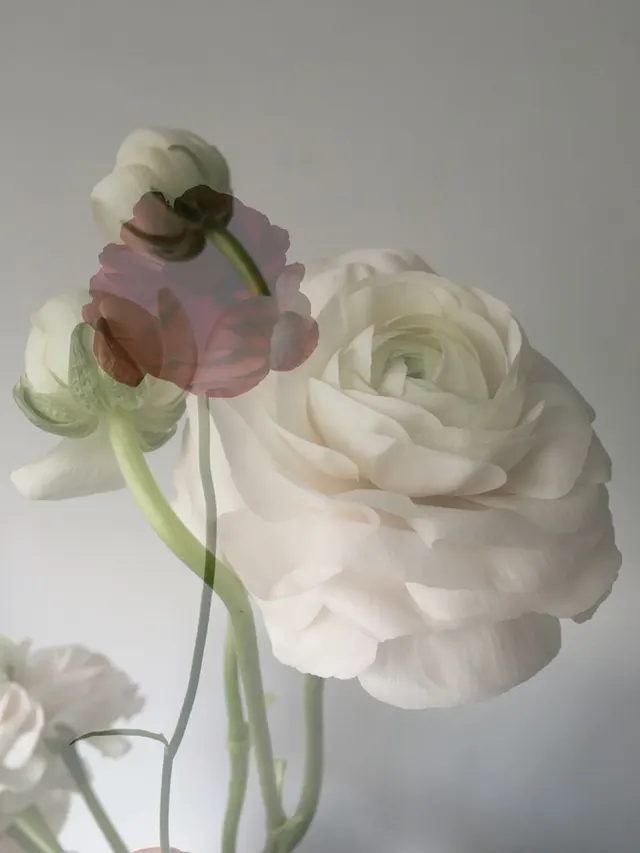 flora