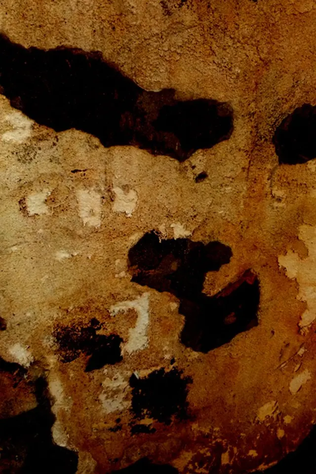 Paredes Walls 19
