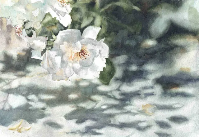 Dappled Shade