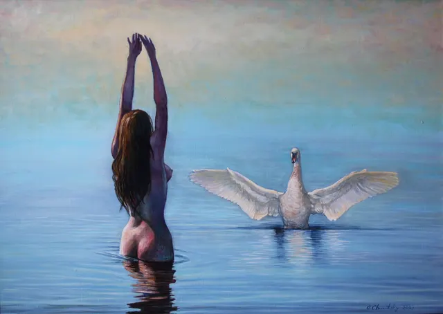 Two swans