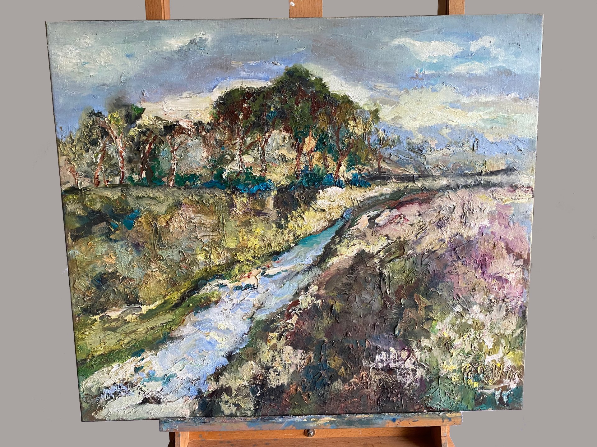 Drents Landschap