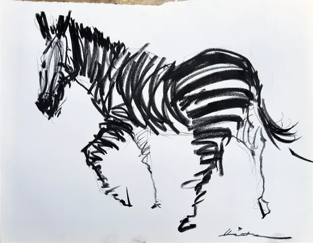 Zebra's - 5 pieces