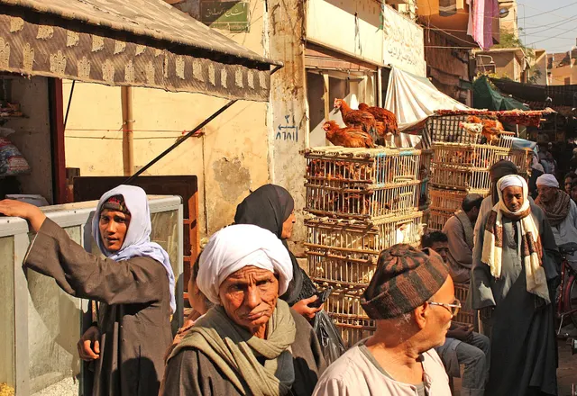 Egypte IX