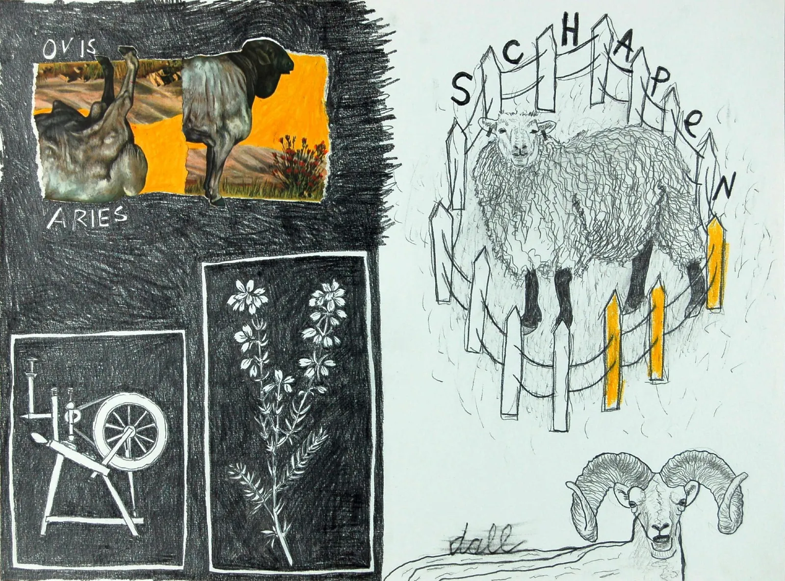 Schaap I Sheep