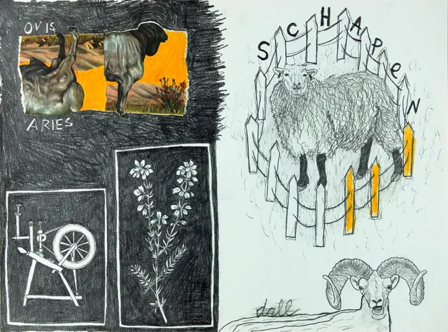 Schaap I Sheep