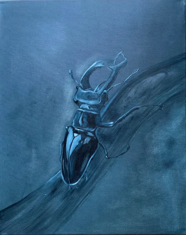 Beetle