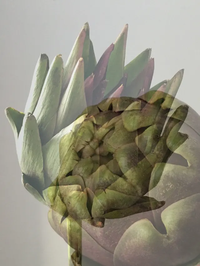 flora