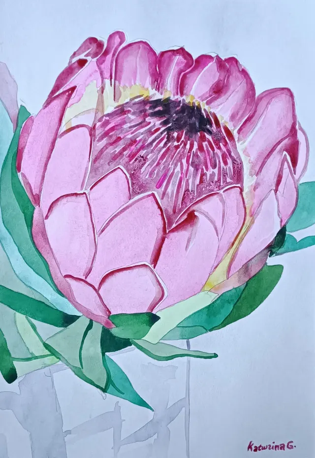 Protea 3