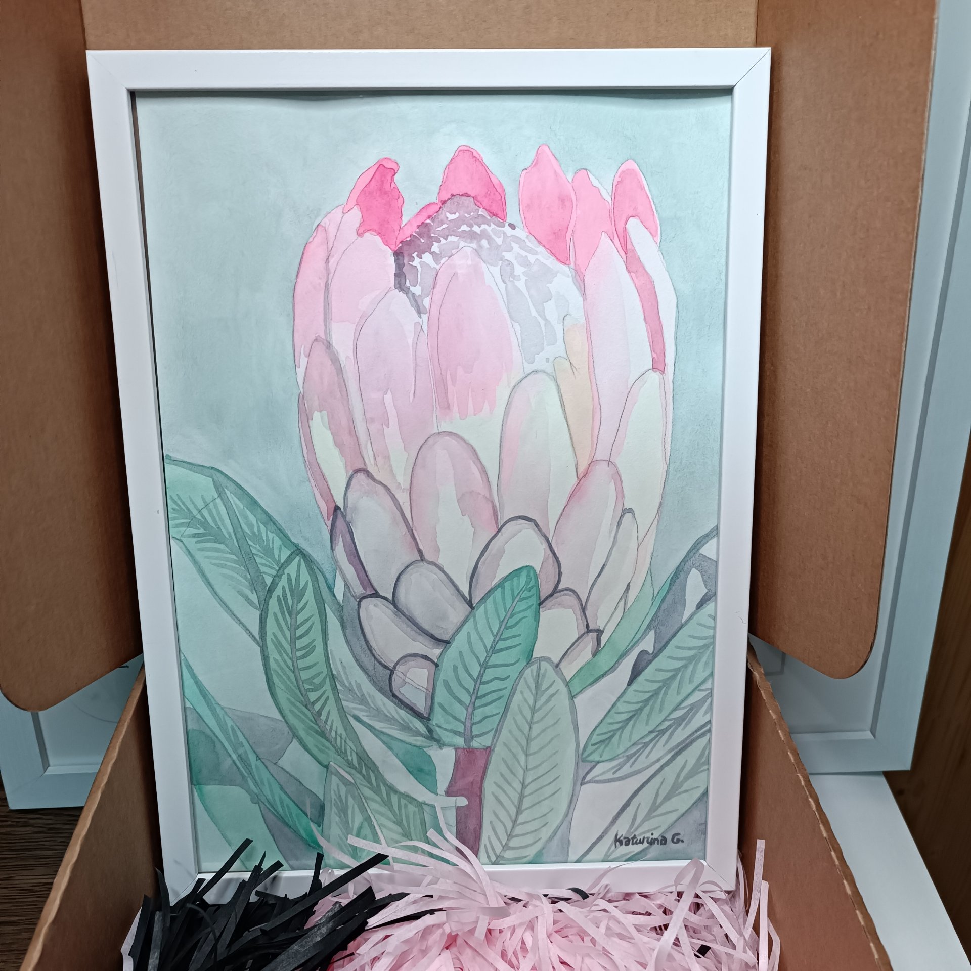 Protea 1