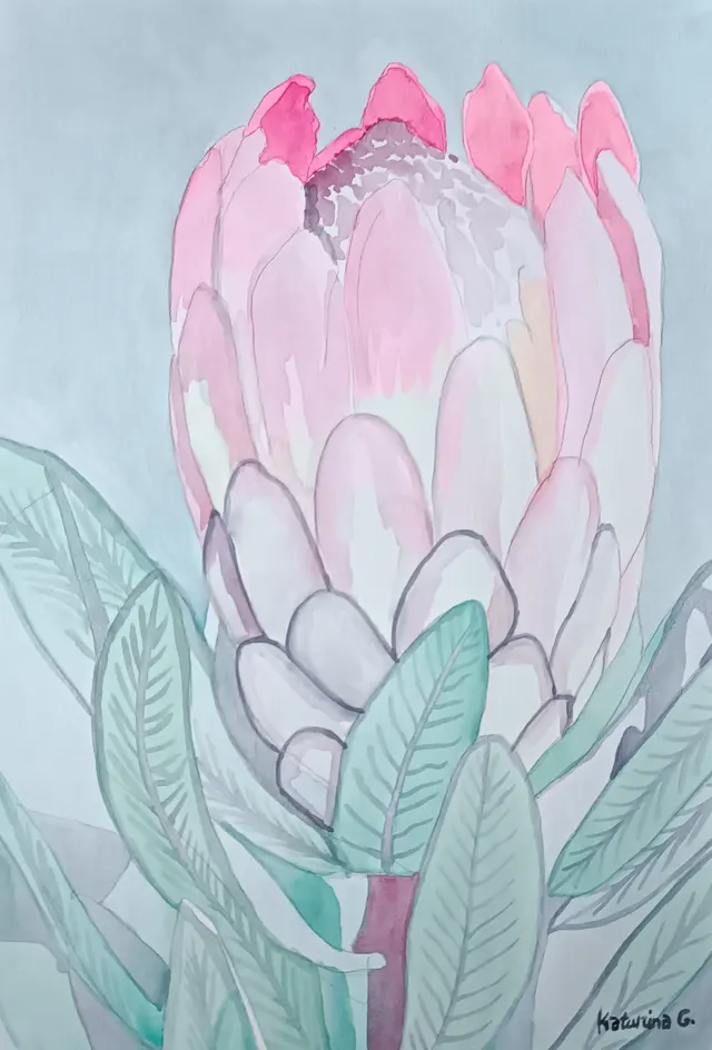 Protea 1