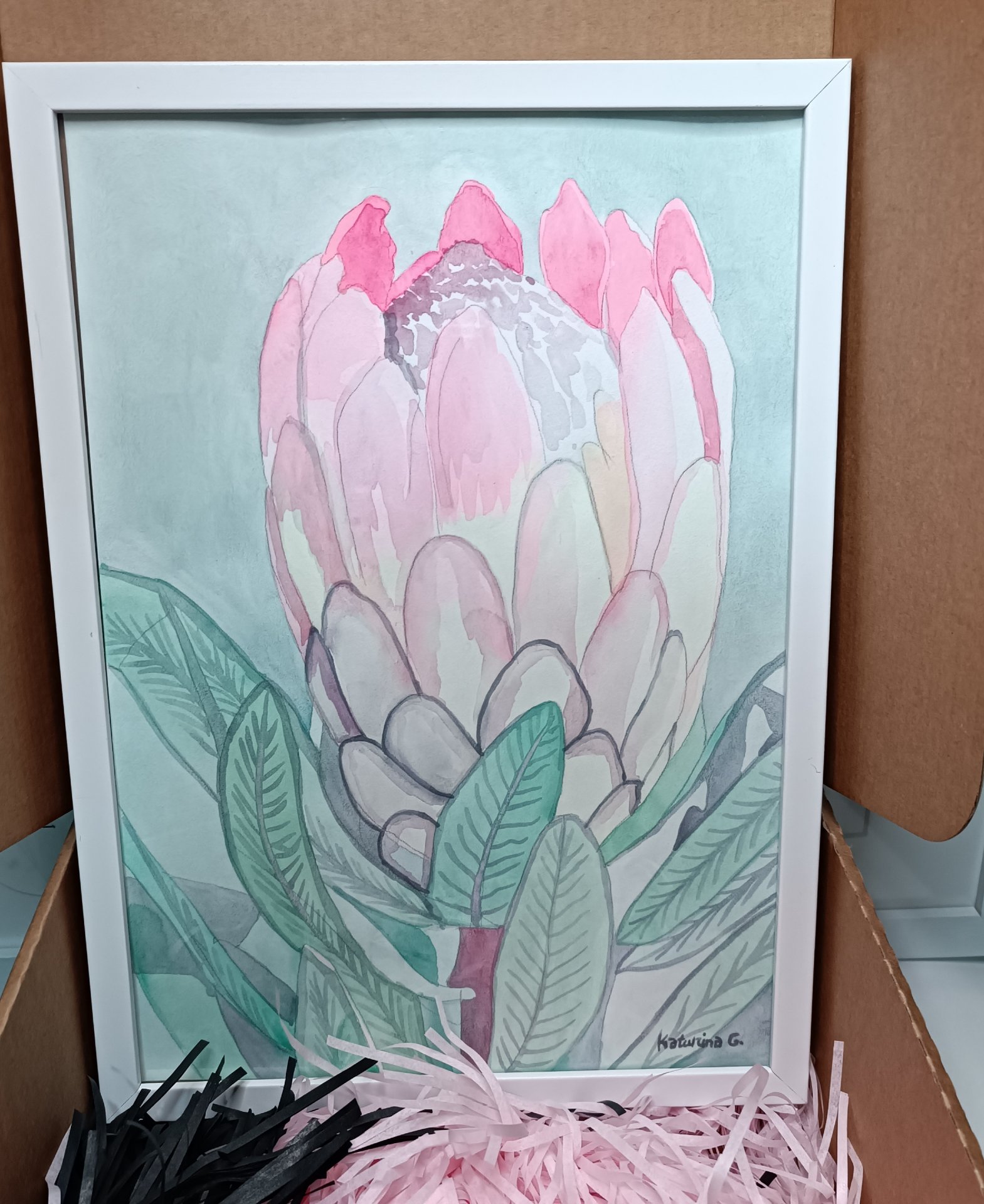 Protea 1