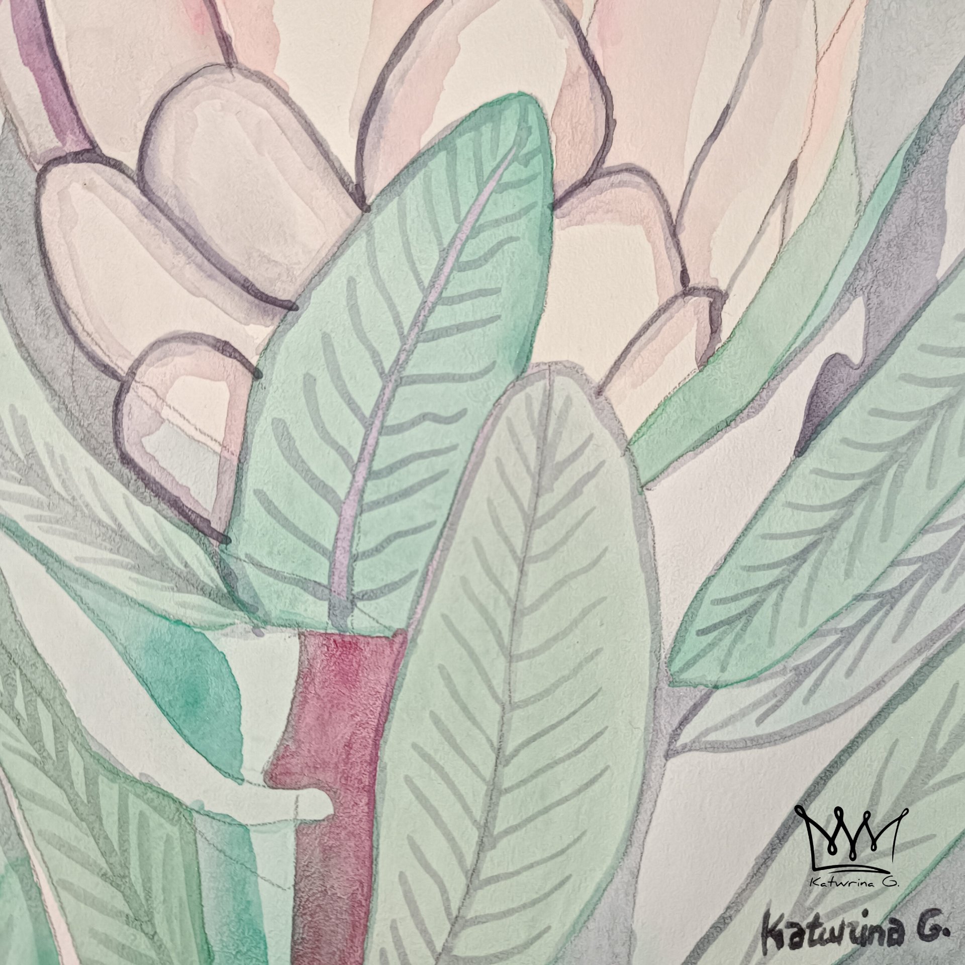 Protea 1