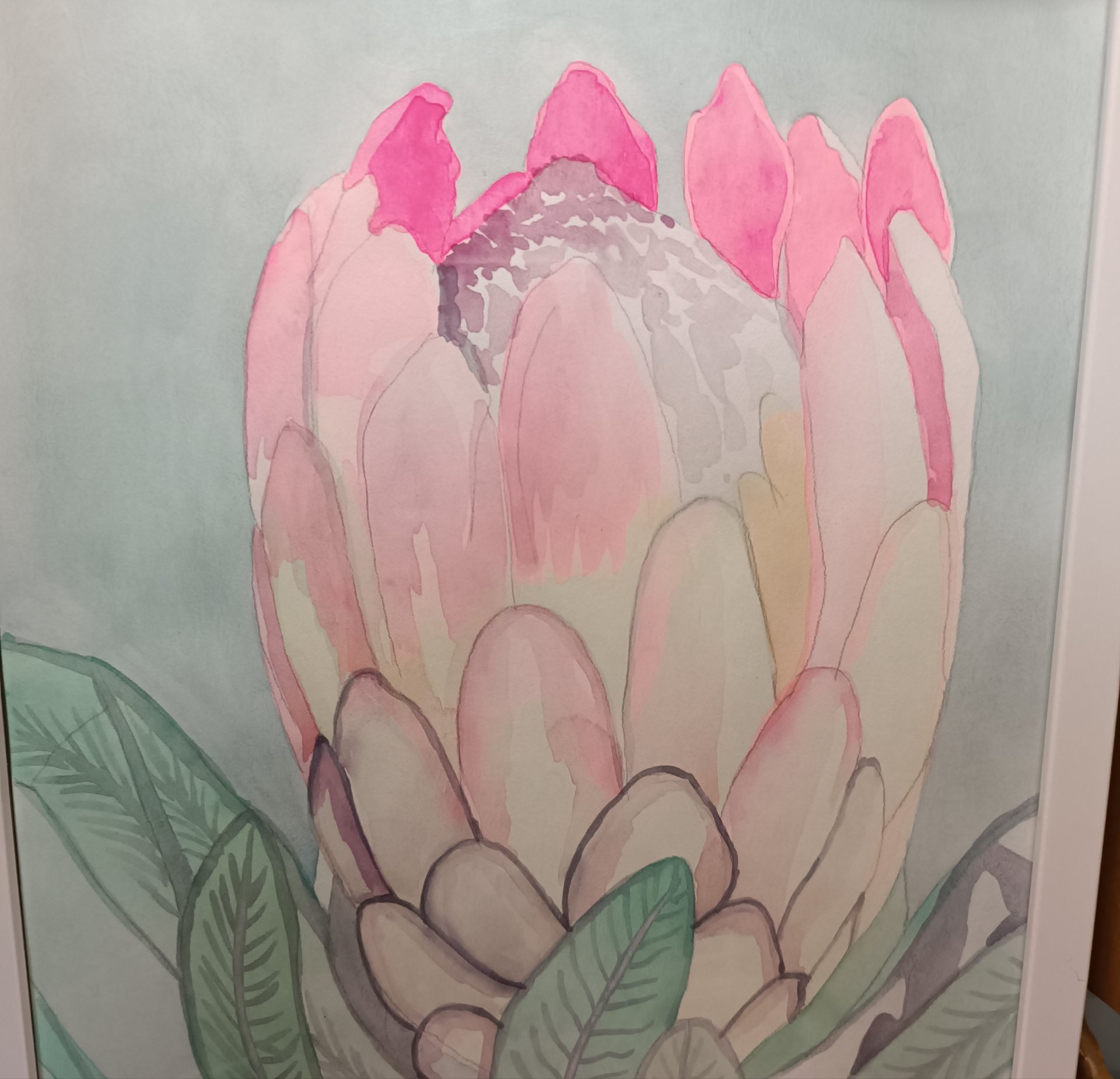 Protea 1