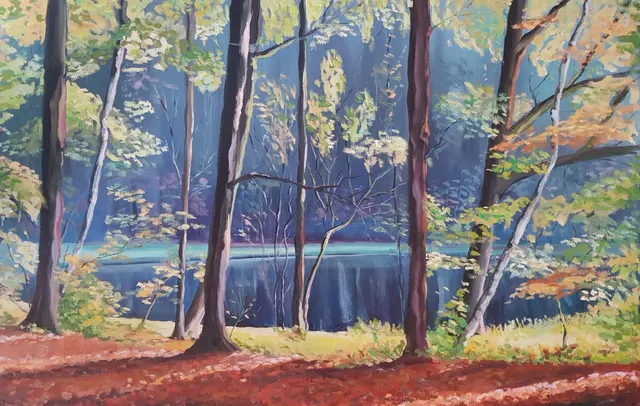 Dutch Forest Pond