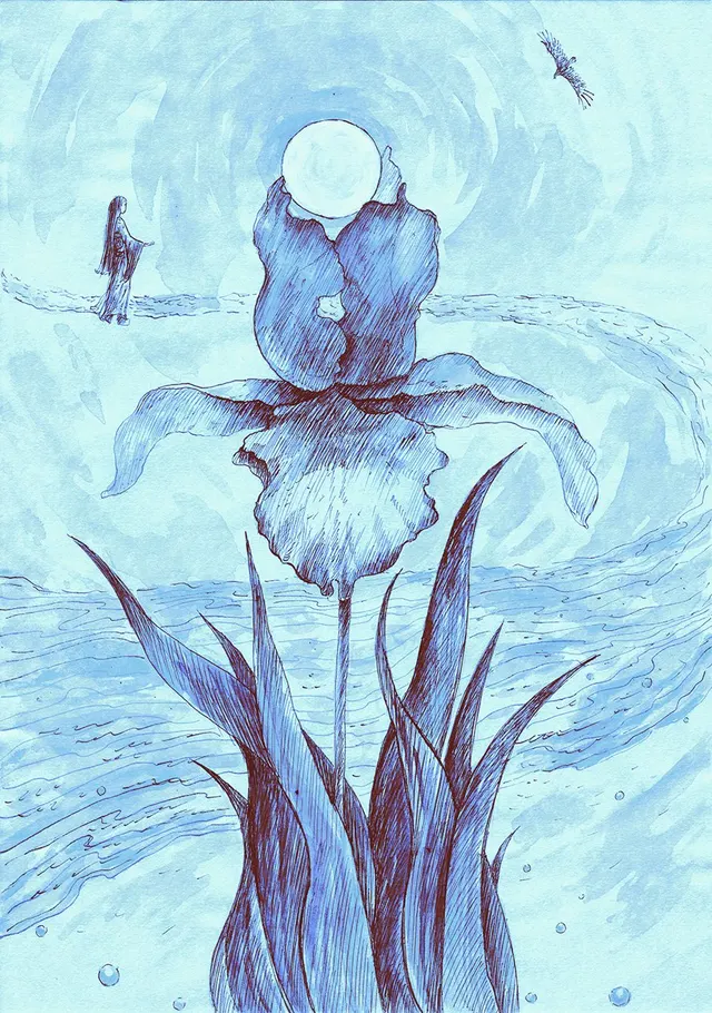 Illustration 16. Print  L
