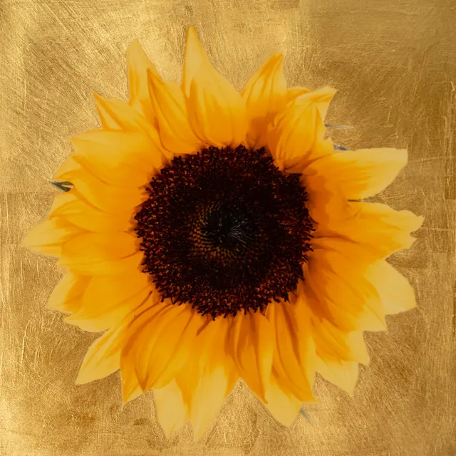 Golden Sunflower
