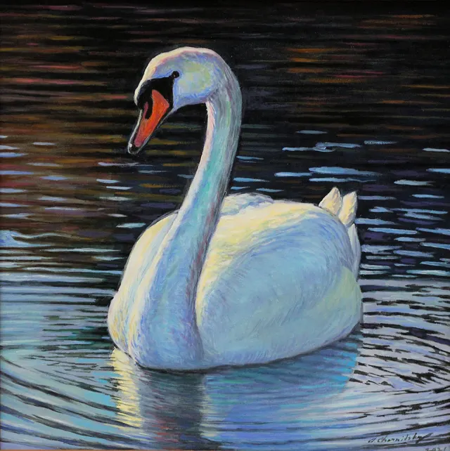 Light Swan