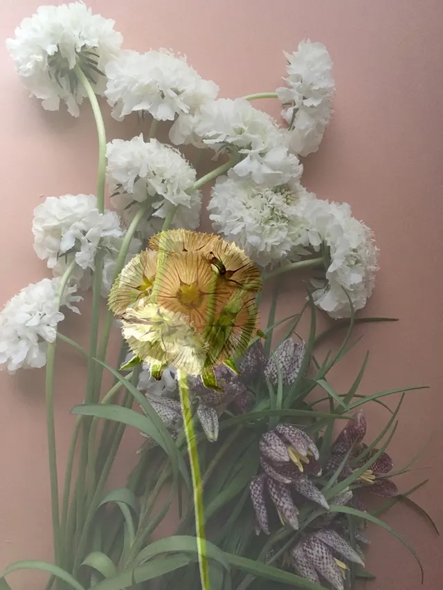 flora