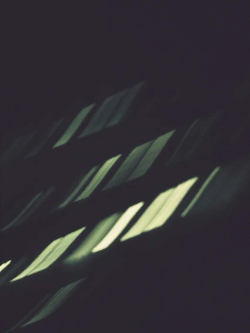 GLIMMERING LIGHTING I · 2010 · 70×85 cm