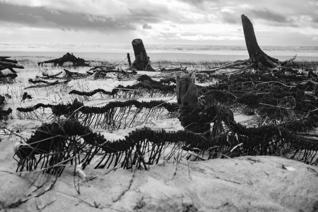 Nature(s) Maritime(s) 3008364