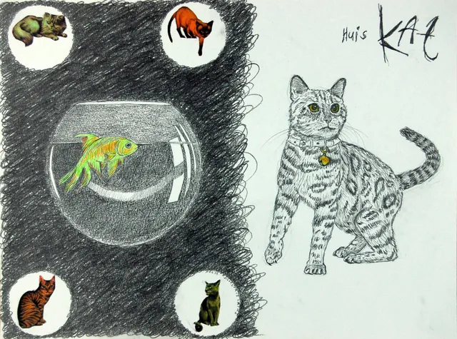 Huiskat I Domestic cat