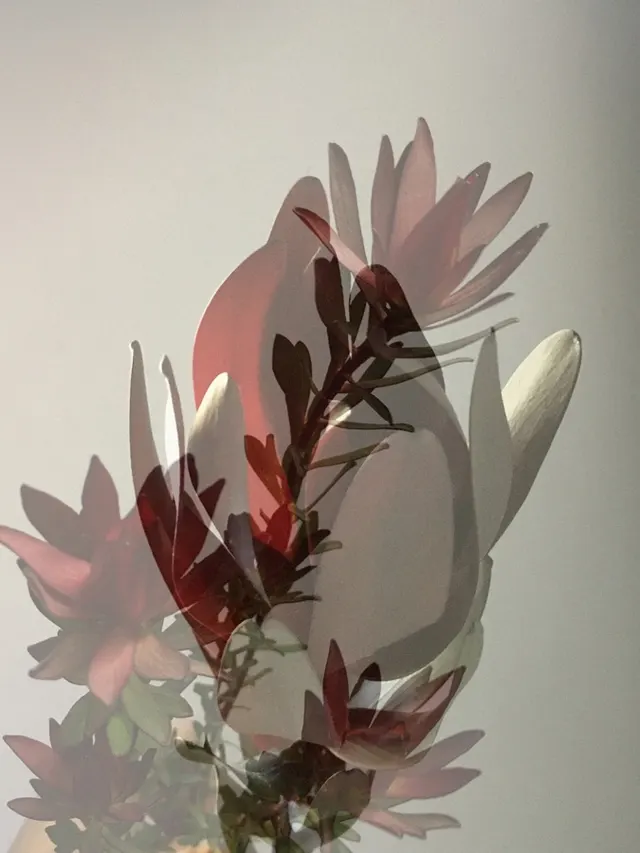 flora