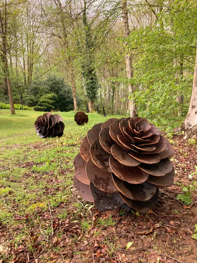 Pine Cone