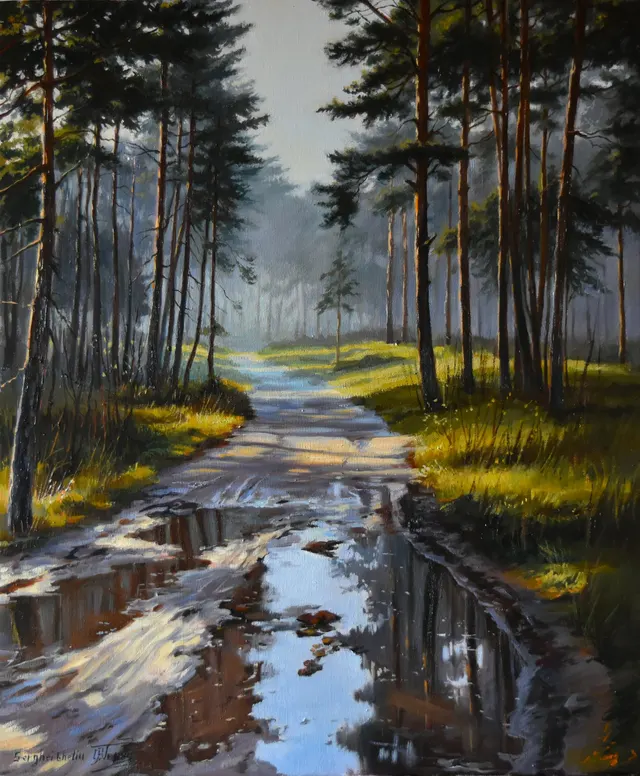 The forest road