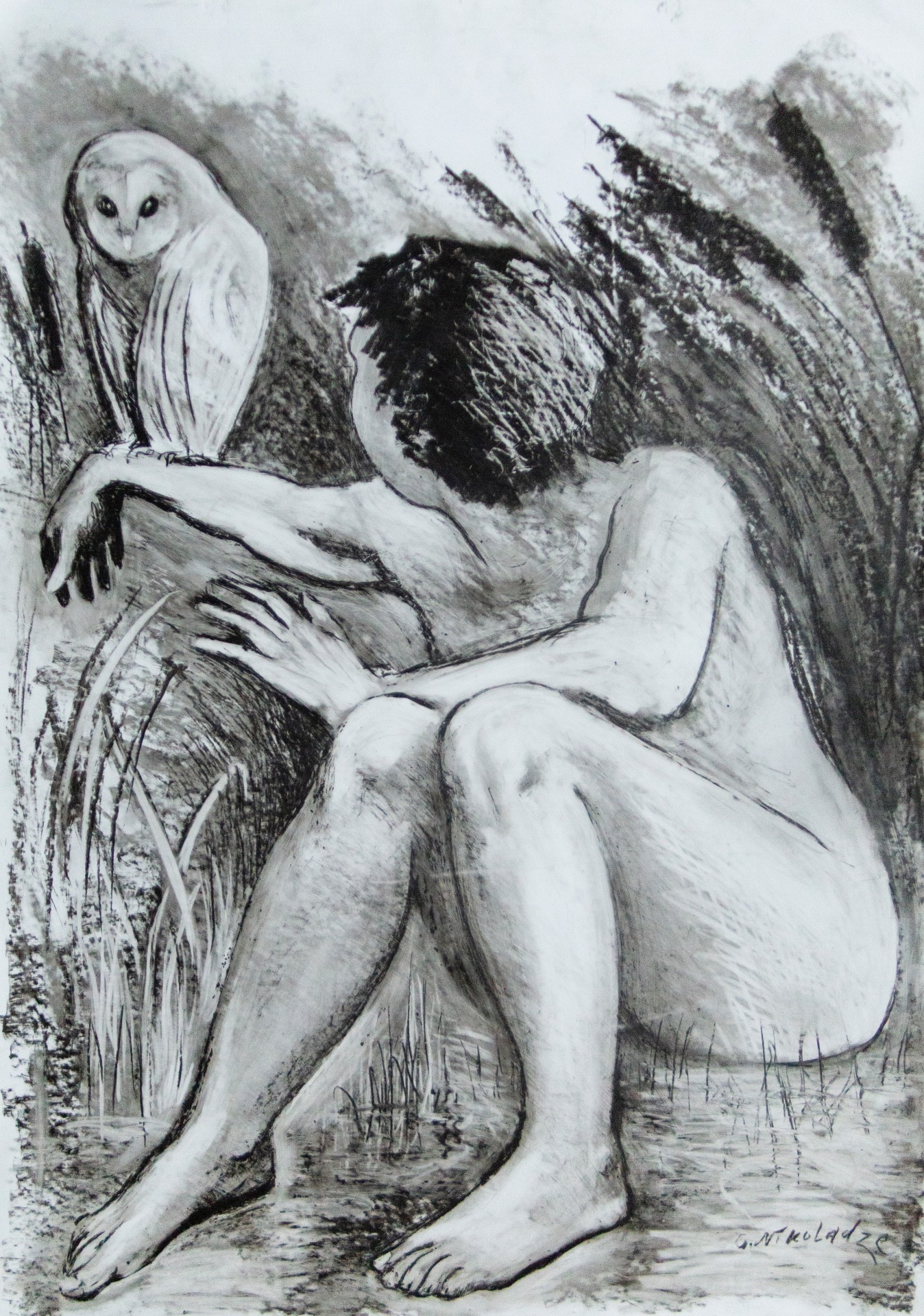 Boy and Owl