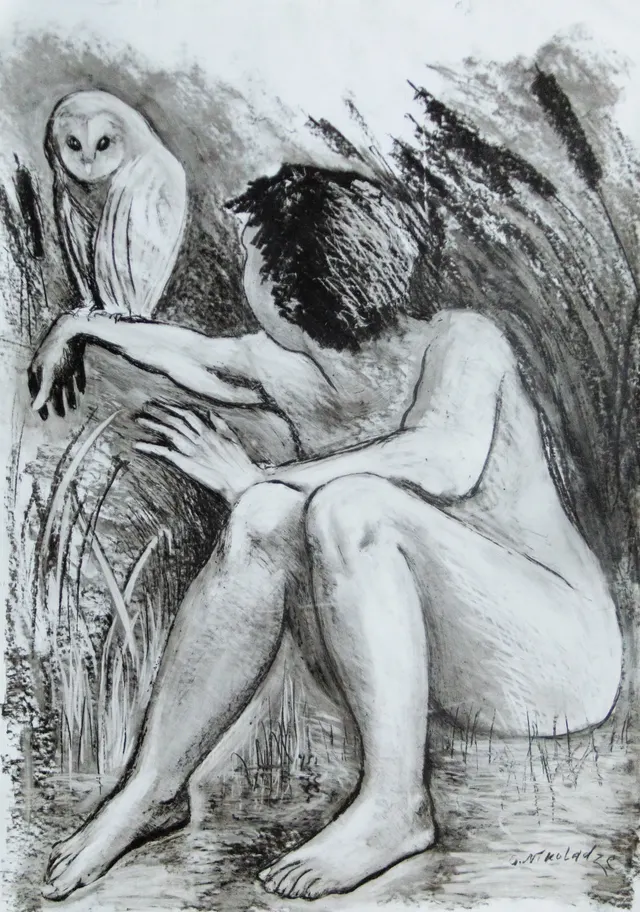 Boy and Owl