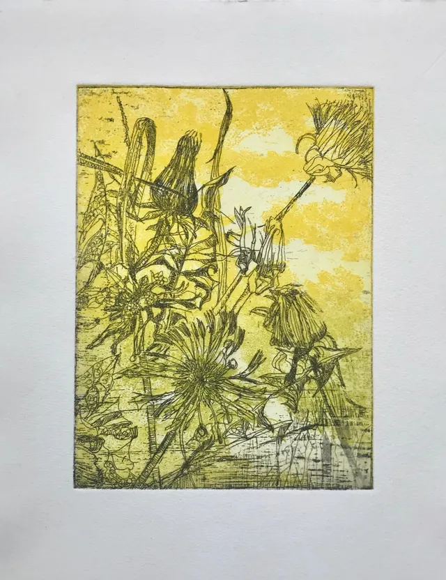 dandelion