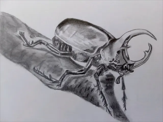 Жук