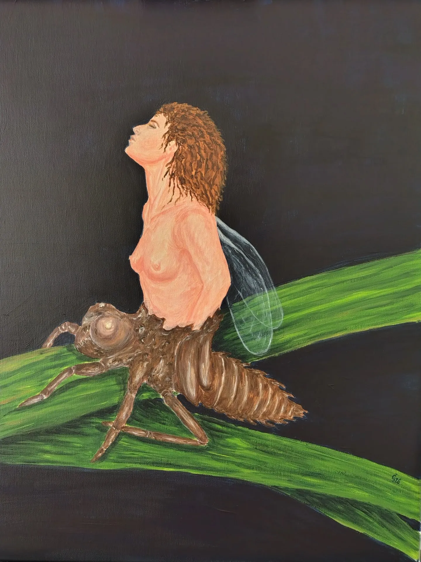Metamorphosis III · 2026 · 50×60 cm