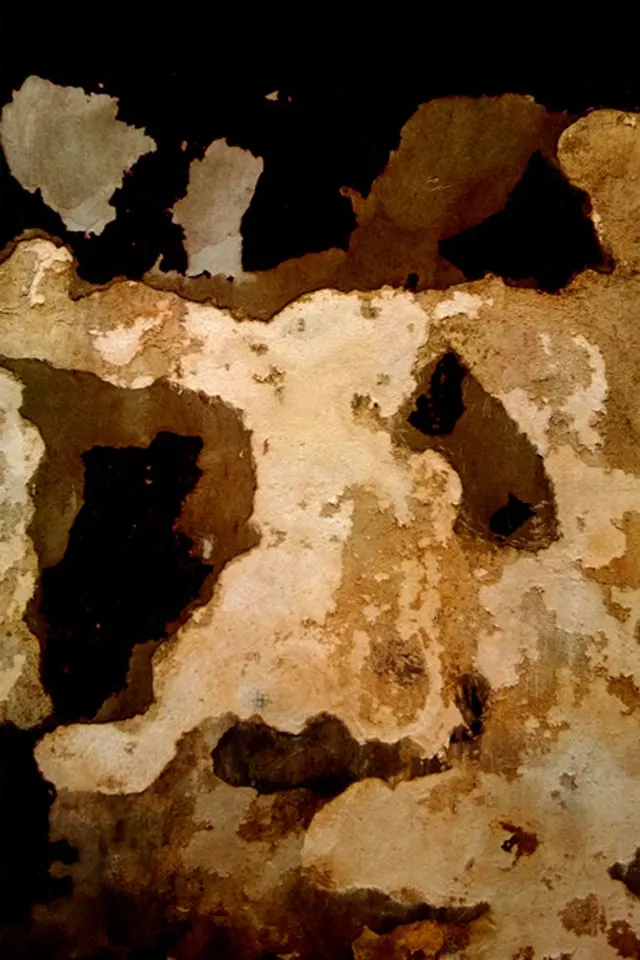 Paredes Walls 28